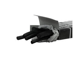 Houtskool Coates 5-6mm doos à 6 stuks