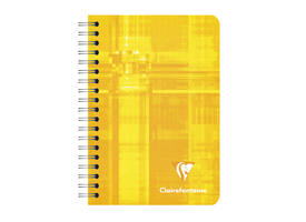 Notitieboek Clairefontaine A7+ 95x140 ruit 5x5 100blz 90gr assorti
