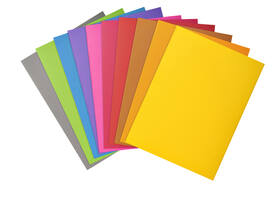 Vouwmap Exacompta ROCK'S A4 80g assorti 100 stuks