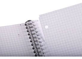 Collegeblok Clairefontaine Studium A4+ ruit 5x5mm 4-gaats 80 pagina's assorti