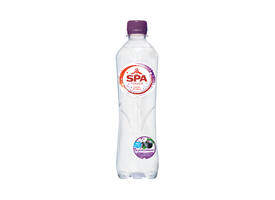 Water Spa Touch sparkling blackcurrant petfles 500ml