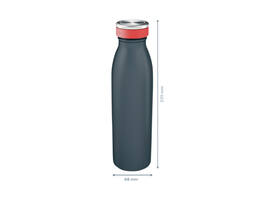Drinkfles Leitz Cosy geïsoleerd fluweel grijs 500ml
