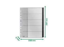 Tabblad Leitz Recycle A4 11-gaats 1-20 extra breed PP