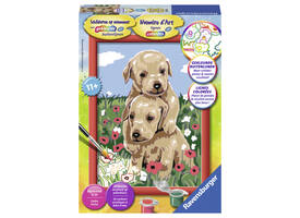 Schilderen op nummer Ravensburger Knuffelende puppies