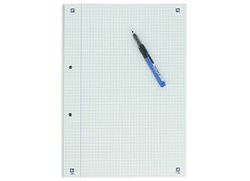 Cursusblok Oxford School A4 ruit 5x5mm 2-gaats 200 pagina's 80gr assorti