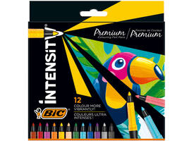Kleurstiften Bic Intensity Premium assorti etui à 12 stuks