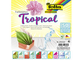Vouwblaadjes Folia 80gr 15x15cm 50 vel 2-zijdig 10 tropical designs