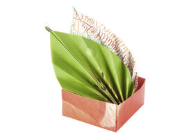 Vouwblaadjes Folia 80gr 15x15cm 50 vel 2-zijdig 10 tropical designs