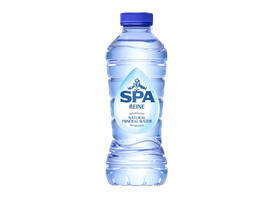 Water Spa Reine blauw petfles 330ml