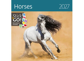 Kalender 2027 Helma 365 30x30cm paarden