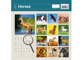 Kalender 2027 Helma 365 30x30cm paarden