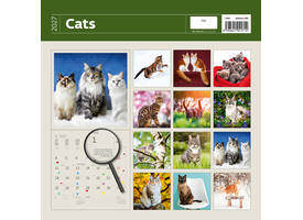 Kalender 2027 Helma 365 30x30cm katten