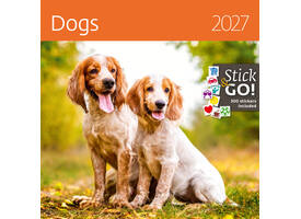 Kalender 2027 Helma 365 30x30cm honden