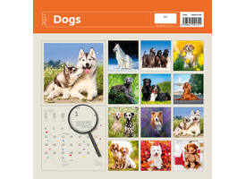 Kalender 2027 Helma 365 30x30cm honden