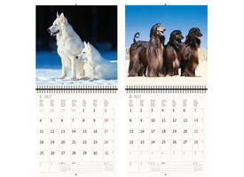 Kalender 2027 Helma 365 30x30cm honden