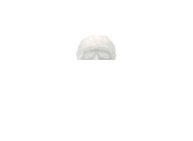 Haarnet CMT clip non-woven L 53cm PP wit 100 stuks