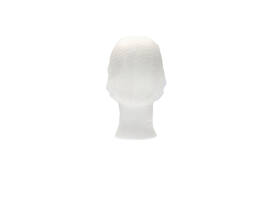 Haarnet CMT clip non-woven L 53cm PP wit 100 stuks