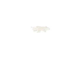 Haarnet CMT clip non-woven L 53cm PP wit 100 stuks