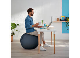 Actieve zitbal Leitz Ergo Cosy 65cm donkergrijs