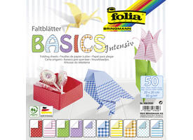 Vouwblaadjes Folia 80gr 20x20cm 50 vel 2-zijdig 10 basics designs