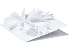 Fotokarton Folia 300gr 50x70cm 00 wit