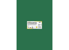 Fotokarton Folia 300gr 50x70cm 58 dennengroen
