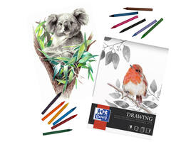 Tekenblok Oxford Drawing A4 40 vel 160 gram