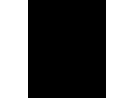 Etalagekarton Folia 1-zijdig 48x68cm 380gr nr800 zwart