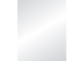 Etalagekarton Folia 1-zijdig 48x68cm 380gr nr631 zilver