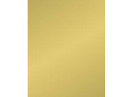 Etalagekarton Folia 1-zijdig 48x68cm 380gr nr611 goud