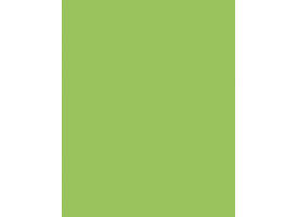Etalagekarton Folia 1-zijdig 48x68cm 380gr nr941 fluor groen