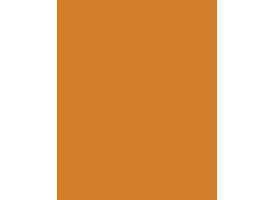 Etalagekarton Folia 1-zijdig 48x68cm 380gr nr915 lichtoranje