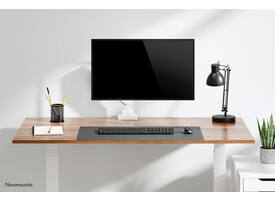 Monitorarm Neomounts NEXT Core single 17-42" wit