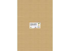 Golfkarton Folia E-golf 50x70cm 250gr nr65 goud
