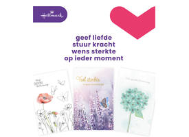 Wenskaart Hallmark Business Box condoleance navulset à 10 stuks