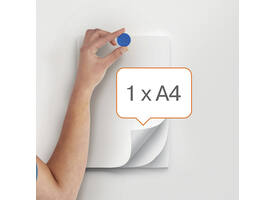 Magneet Nobo 13mm assorti 10 stuks
