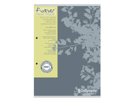 Cursusblok Clairefontaine Forever Calligraphe A4 ruit 5x5mm 2-gaats 200 pagina's 70gr grijs