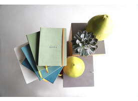 Notitieboek Rhodia A5 lijn 80 vel 90gr celadon