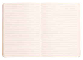 Notitieboek Rhodia A6 lijn 72 vel 90gr zwart
