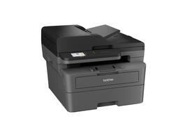 Multifunctional Laser printer Brother DCP-L2660DW