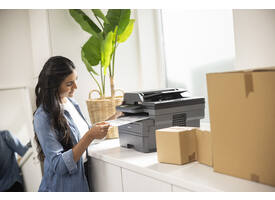Multifunctional Laser printer Brother DCP-L2660DW