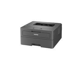 Printer Laser Brother HL-L2445DW