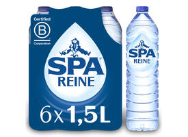 Water Spa Reine blauw petfles 1.5 liter