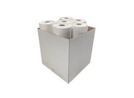 Onderzoektafelpapier Euro Products 2-laags 40cmx100m 250 vel wit 138042