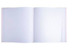 Fotoalbum Exacompta 29x32cm 60 witte pagina's Ellipse roze