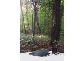 Notitieboek Rhodia Greenbook A4+ lijn 4-gaats 180 pagina's 90gr zwart