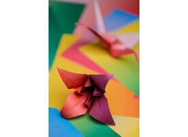 Origami Clairefontaine Gradient 20x20cm set à 100 vel 80gram assorti