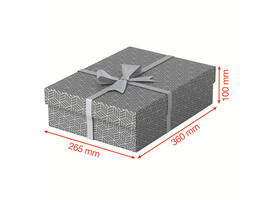 Opberg- en geschenkdoos Esselte home middelgroot 265x100x360mm grijs 3 stuks