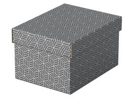 Opberg- en geschenkdoos Esselte home klein 200x150x255mm gr 3 st