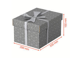 Opberg- en geschenkdoos Esselte home klein 200x150x255mm gr 3 st